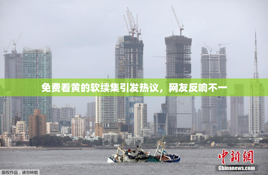 免费看黄的软续集引发热议，网友反响不一