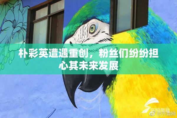 朴彩英遭遇重创，粉丝们纷纷担心其未来发展