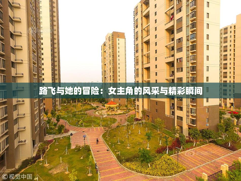 路飞与她的冒险：女主角的风采与精彩瞬间