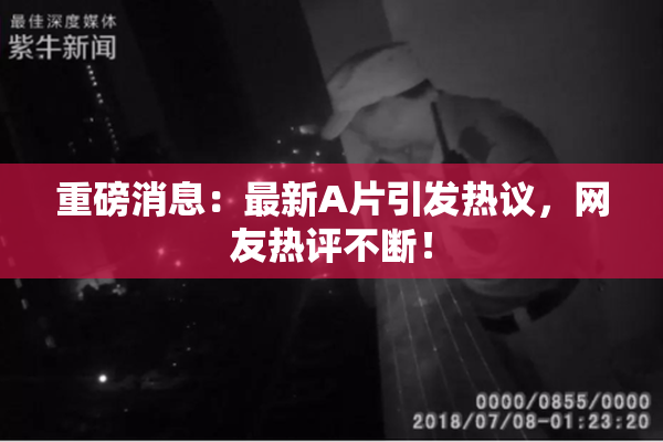 重磅消息：最新A片引发热议，网友热评不断！