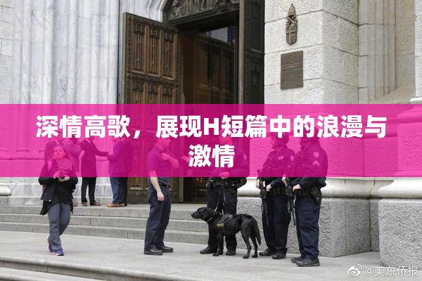 深情高歌，展现H短篇中的浪漫与激情