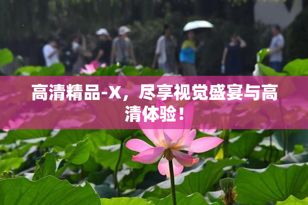 高清精品-X，尽享视觉盛宴与高清体验！