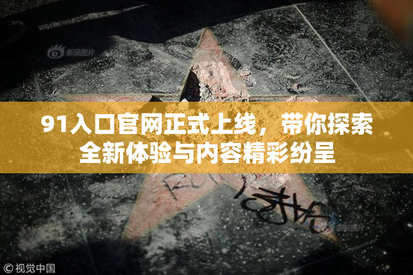 91入口官网正式上线，带你探索全新体验与内容精彩纷呈