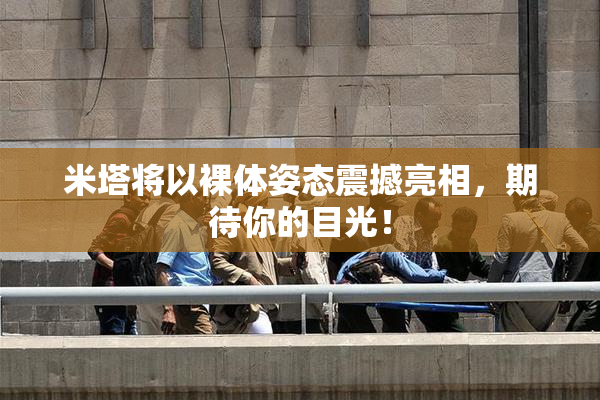 米塔将以裸体姿态震撼亮相，期待你的目光！