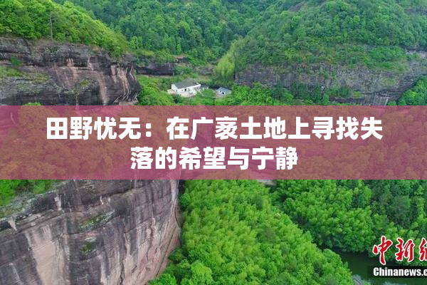 田野忧无：在广袤土地上寻找失落的希望与宁静