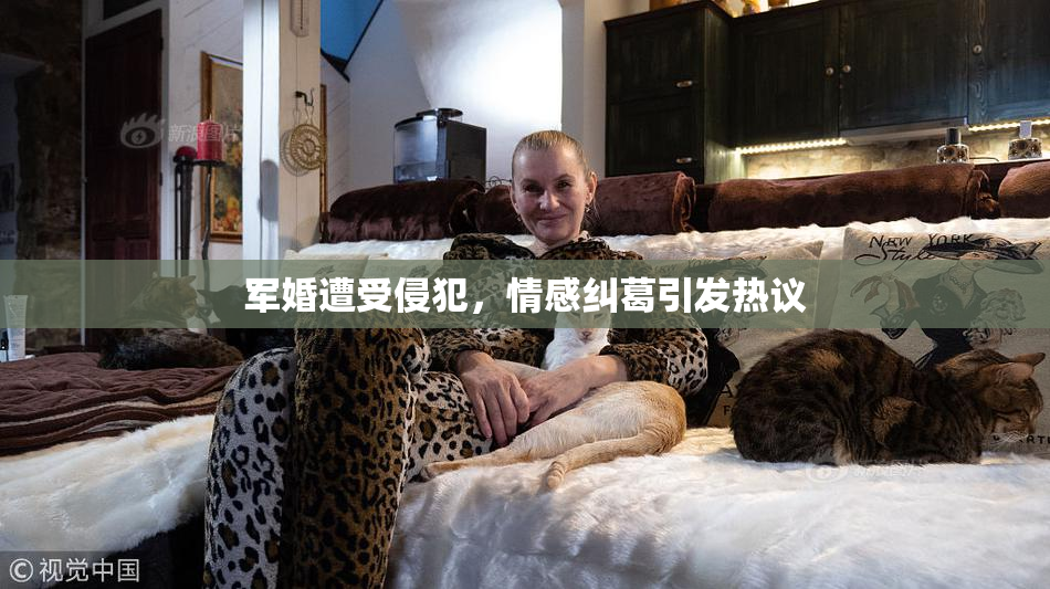 军婚遭受侵犯，情感纠葛引发热议