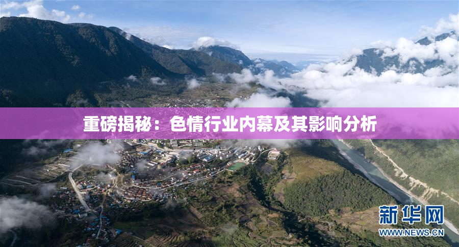 重磅揭秘：色情行业内幕及其影响分析