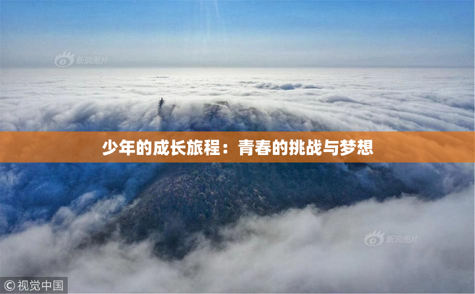 少年的成长旅程：青春的挑战与梦想