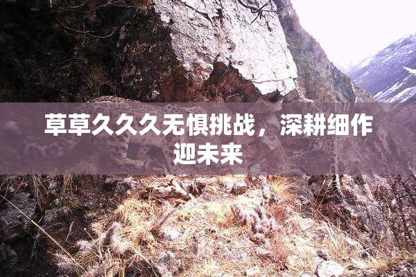草草久久久无惧挑战，深耕细作迎未来