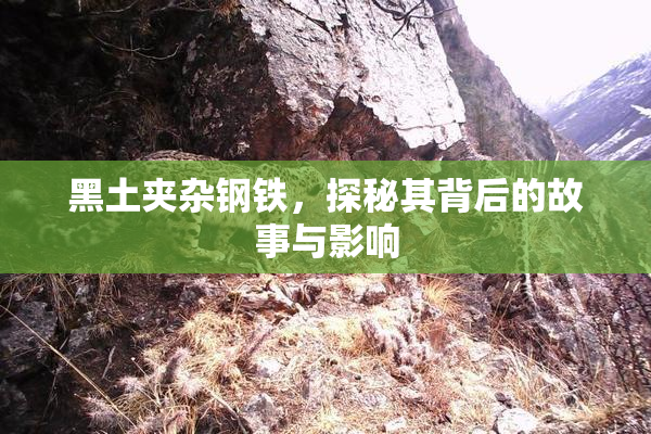 黑土夹杂钢铁，探秘其背后的故事与影响