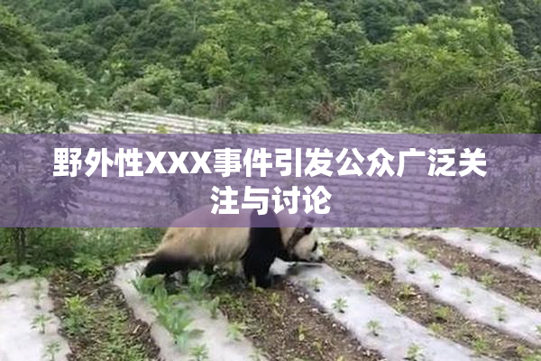 野外性XXX事件引发公众广泛关注与讨论