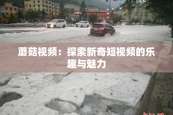 蘑菇视频：探索新奇短视频的乐趣与魅力