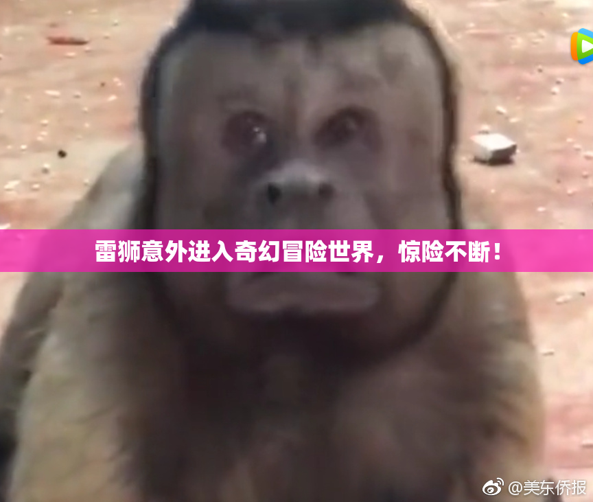 雷狮意外进入奇幻冒险世界，惊险不断！