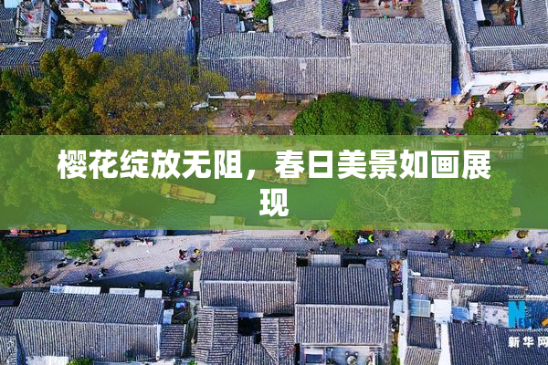 樱花绽放无阻，春日美景如画展现