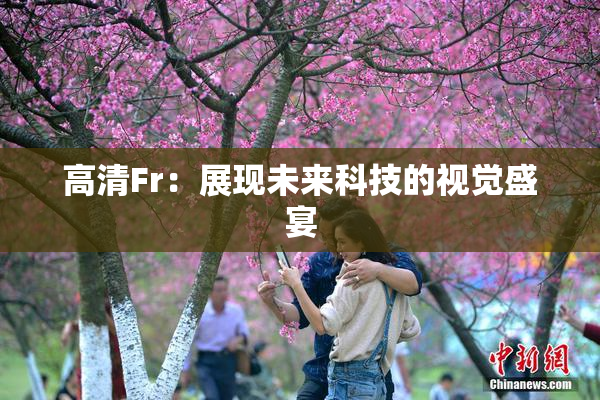 高清Fr：展现未来科技的视觉盛宴