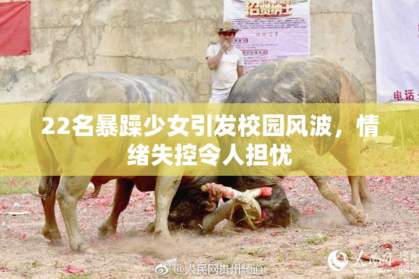 22名暴躁少女引发校园风波，情绪失控令人担忧