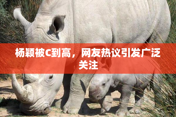 杨颖被C到高，网友热议引发广泛关注