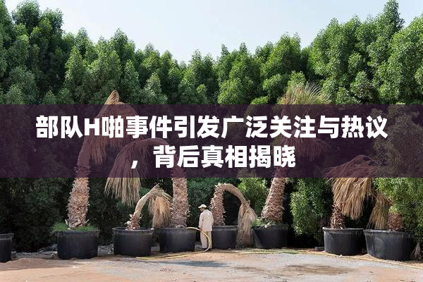 部队H啪事件引发广泛关注与热议，背后真相揭晓