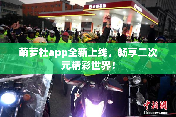 萌萝社app全新上线，畅享二次元精彩世界！