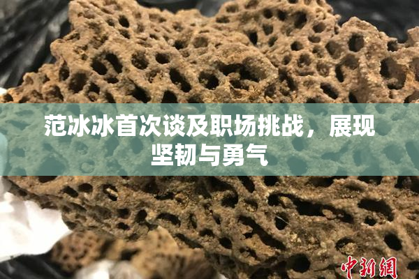 范冰冰首次谈及职场挑战，展现坚韧与勇气