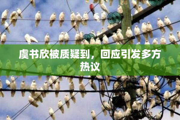 虞书欣被质疑到，回应引发多方热议
