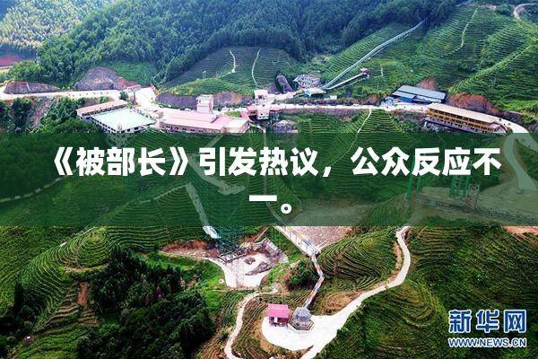 《被部长》引发热议，公众反应不一。