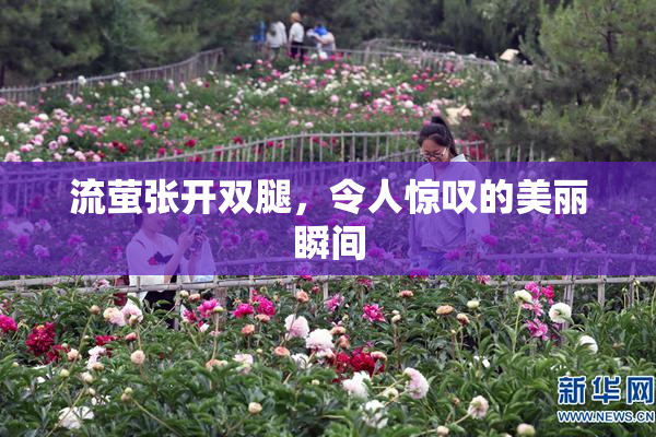 流萤张开双腿，令人惊叹的美丽瞬间