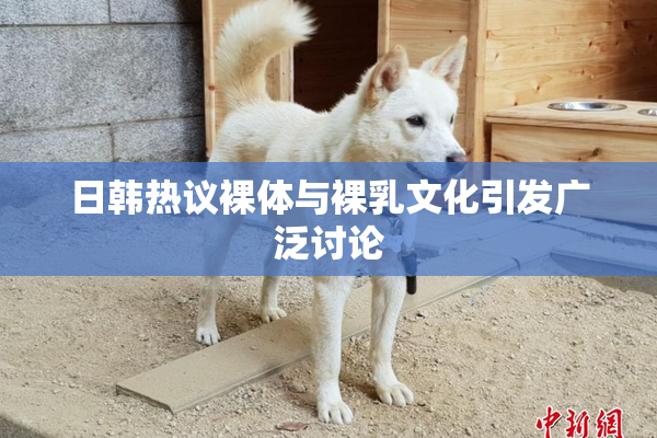 日韩热议裸体与裸乳文化引发广泛讨论