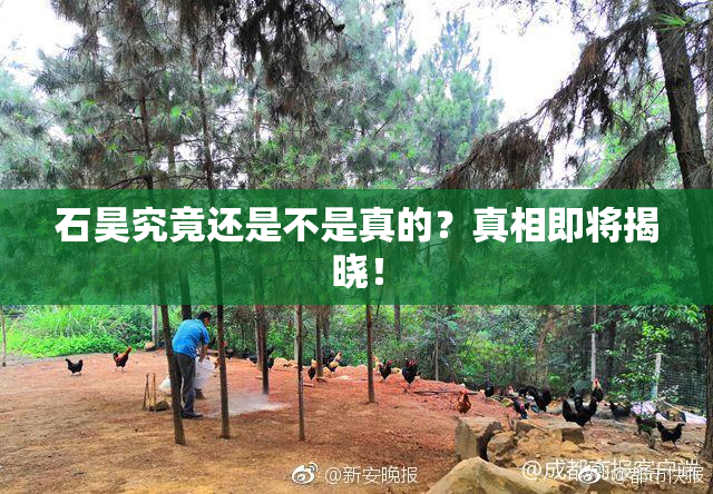 石昊究竟还是不是真的？真相即将揭晓！
