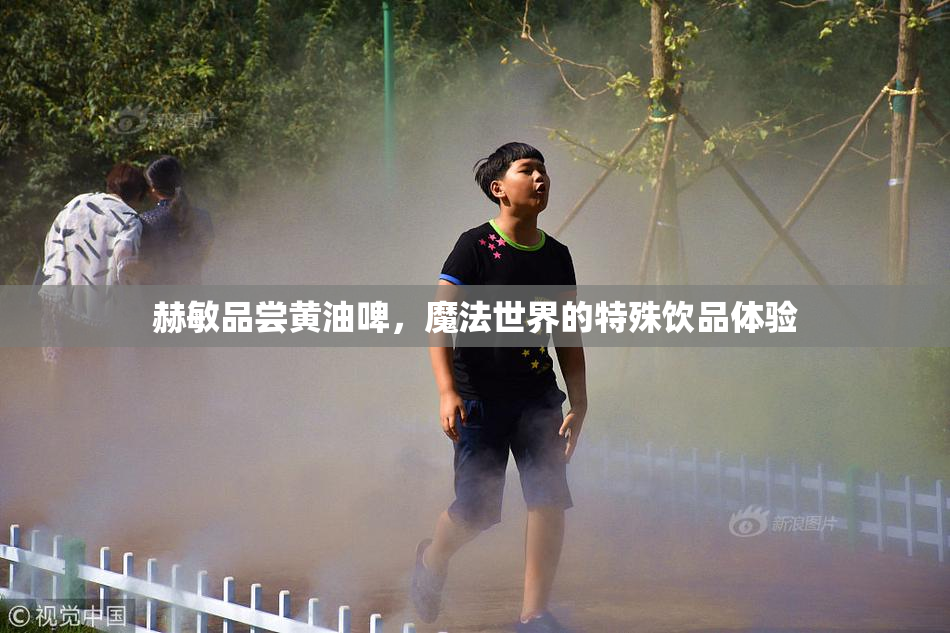 赫敏品尝黄油啤，魔法世界的特殊饮品体验