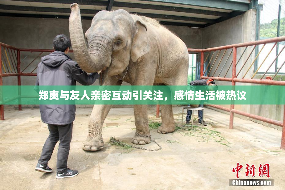 郑爽与友人亲密互动引关注，感情生活被热议