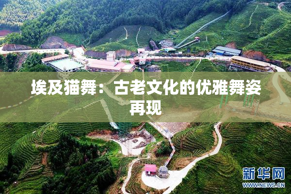埃及猫舞：古老文化的优雅舞姿再现