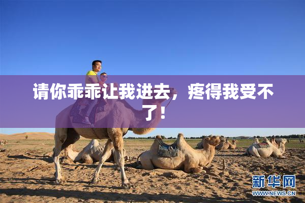 请你乖乖让我进去，疼得我受不了！