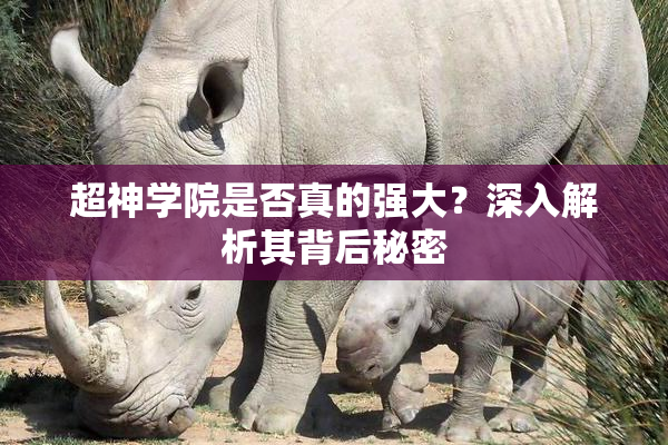 超神学院是否真的强大？深入解析其背后秘密