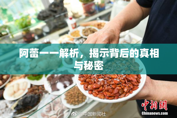 阿蕾一一解析，揭示背后的真相与秘密