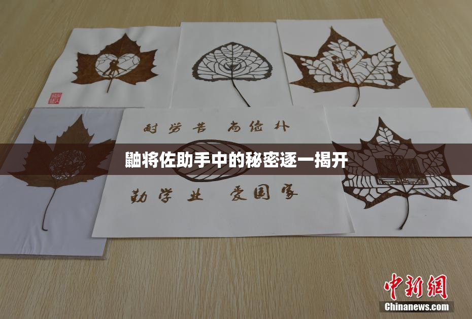 鼬将佐助手中的秘密逐一揭开
