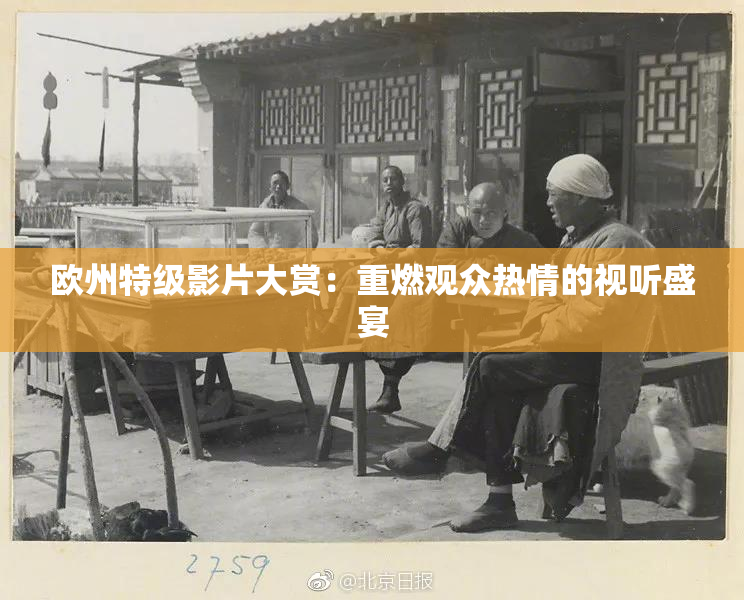 欧州特级影片大赏：重燃观众热情的视听盛宴
