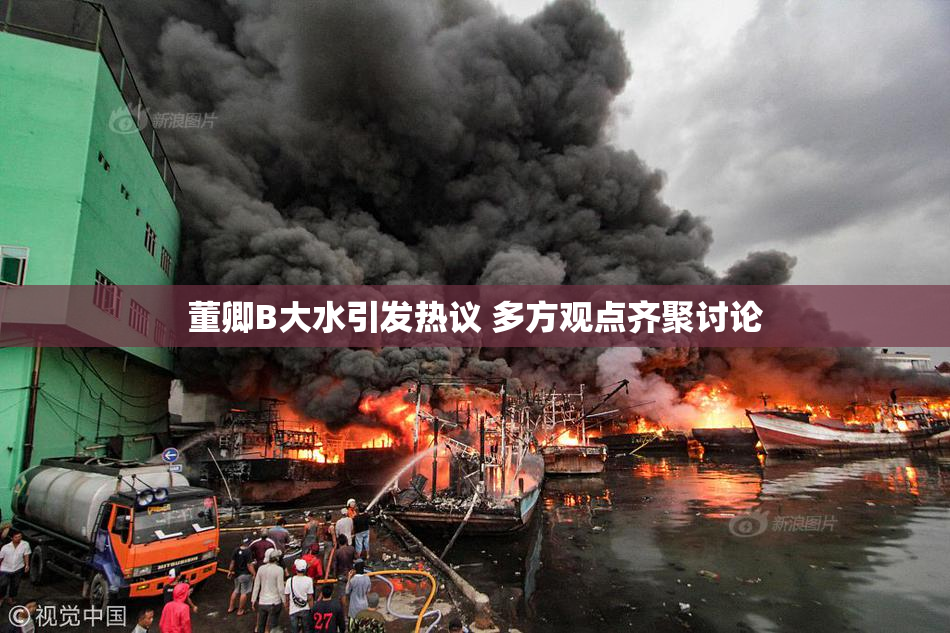 董卿B大水引发热议 多方观点齐聚讨论