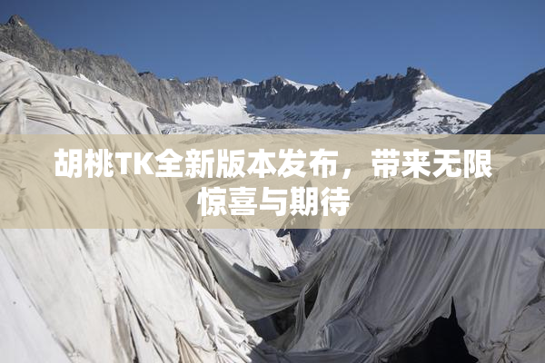 胡桃TK全新版本发布，带来无限惊喜与期待