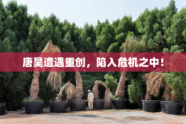 唐昊遭遇重创，陷入危机之中！