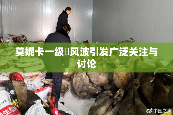 莫妮卡一级婬风波引发广泛关注与讨论