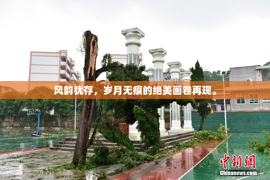 风韵犹存，岁月无痕的绝美画卷再现。