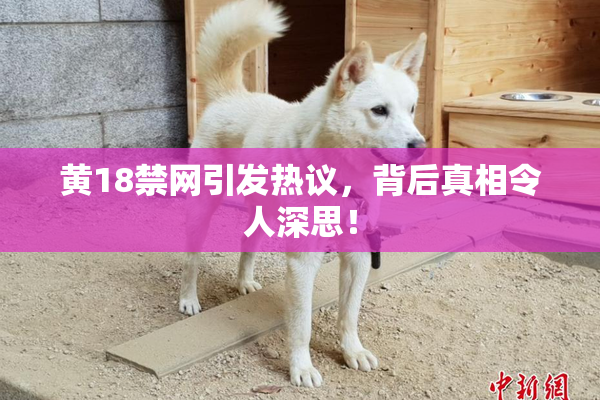 黄18禁网引发热议，背后真相令人深思！
