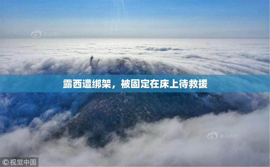 露西遭绑架，被固定在床上待救援