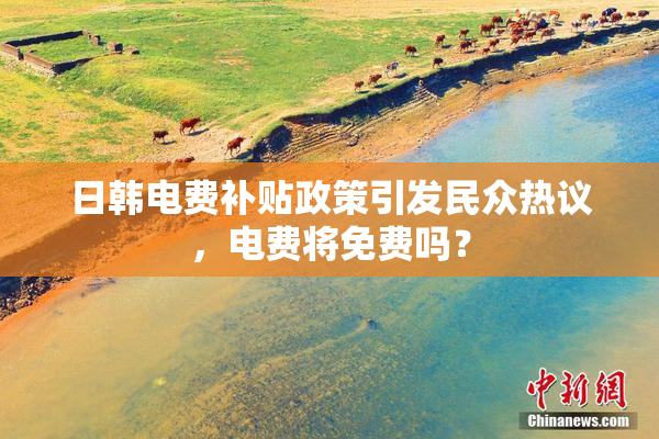 日韩电费补贴政策引发民众热议，电费将免费吗？