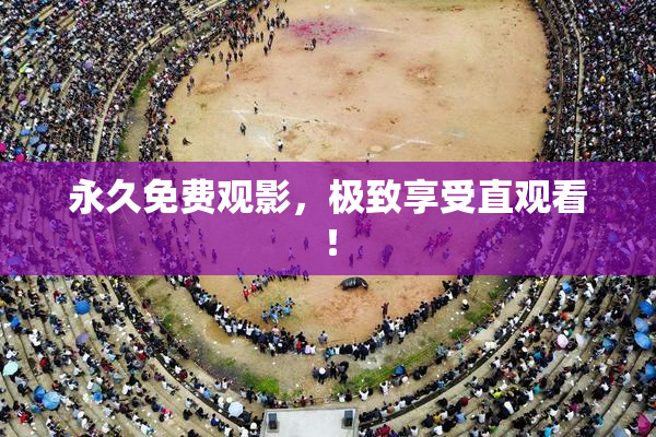 永久免费观影，极致享受直观看！