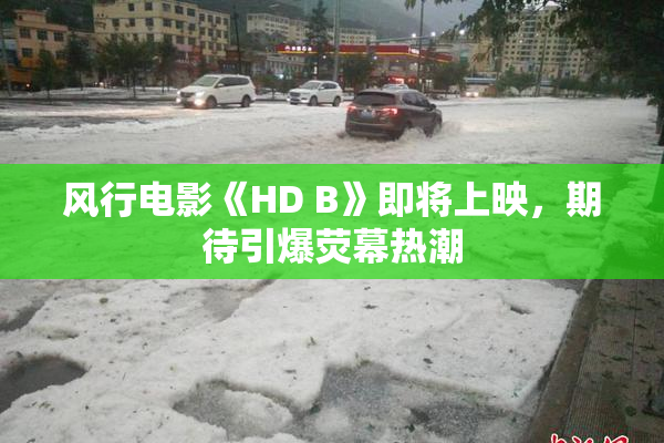 风行电影《HD B》即将上映，期待引爆荧幕热潮
