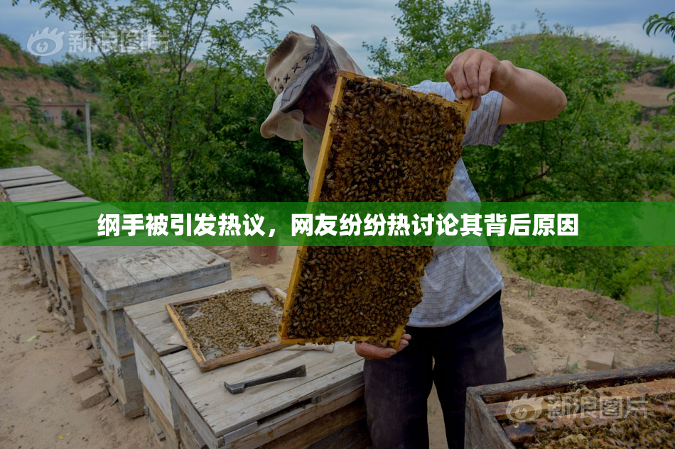 纲手被引发热议，网友纷纷热讨论其背后原因