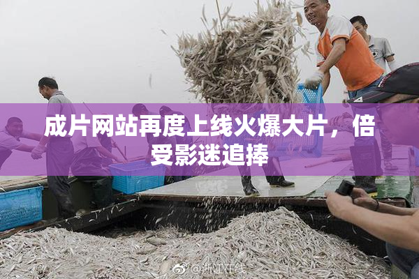 成片网站再度上线火爆大片，倍受影迷追捧