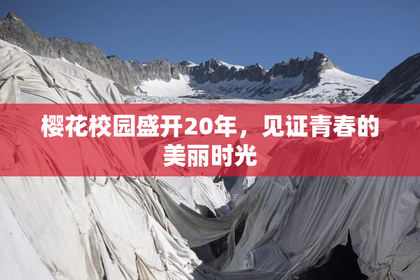 樱花校园盛开20年，见证青春的美丽时光